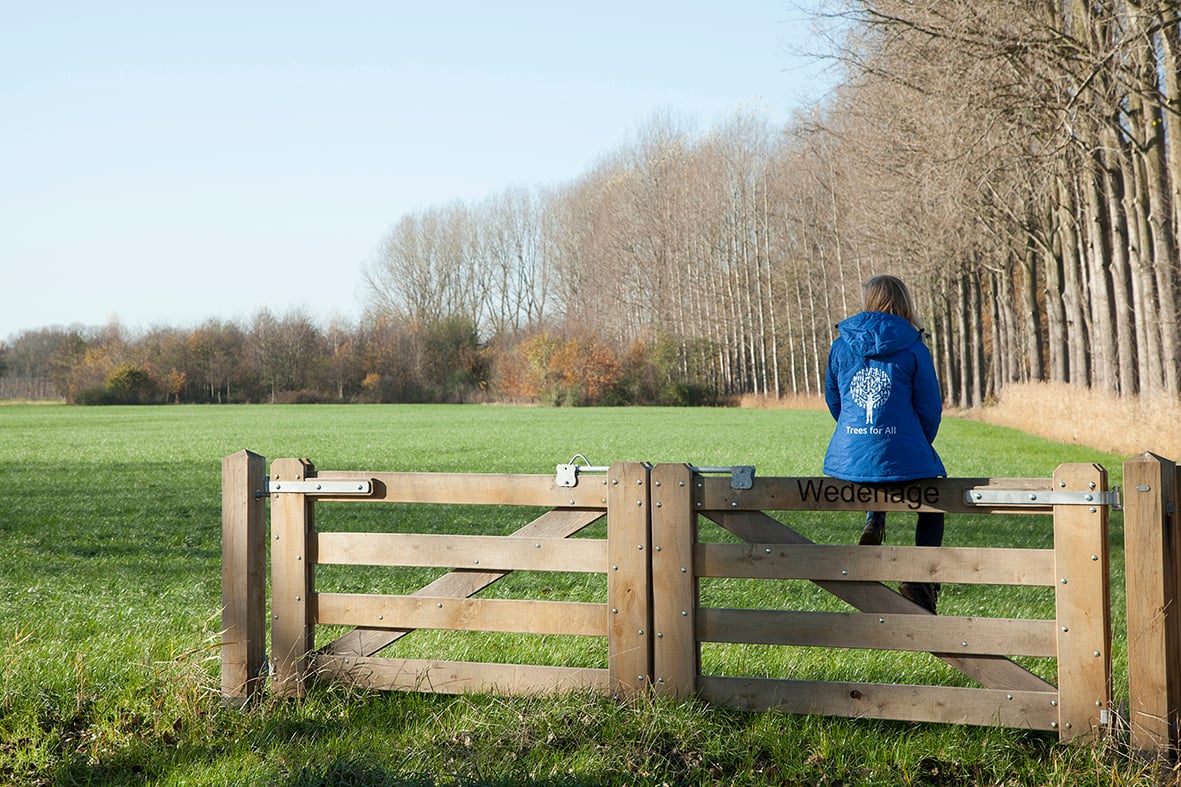 Nog aan te planten veld2 - het Groene Woud - Trees for All[1]