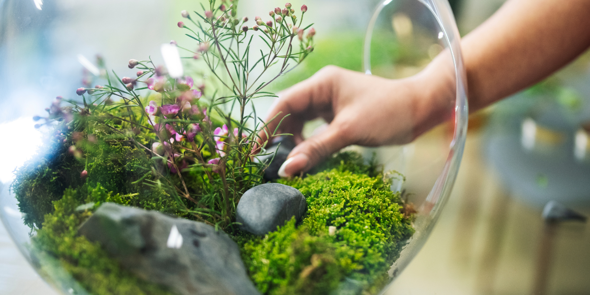 ecosystem_circularity
